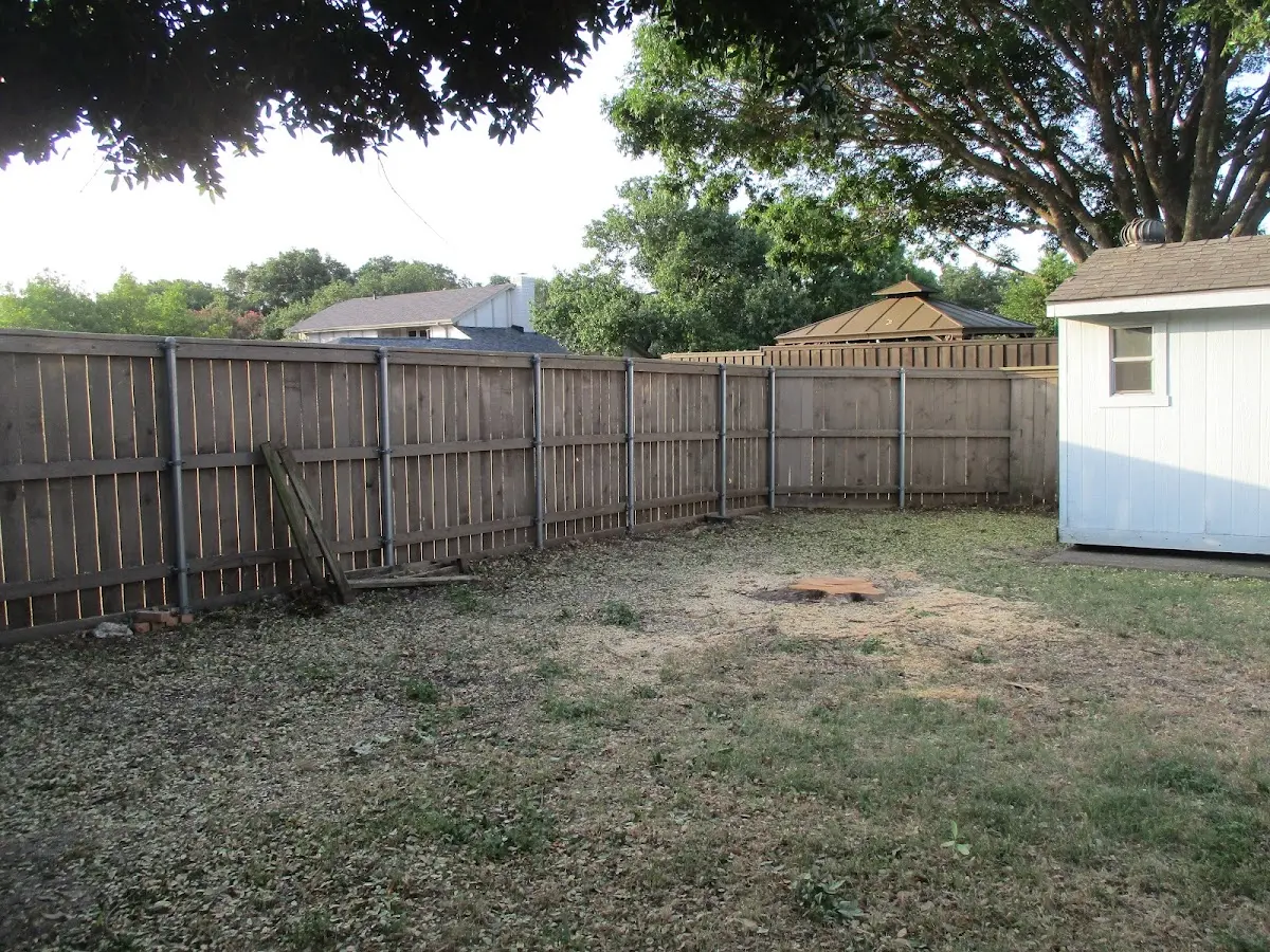 Cleared yard after professional tree removal in Dakota City